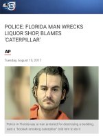 Florida man.jpg